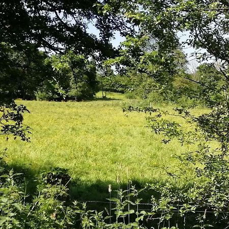 Gite Le Moulin Saint-Vaast-sur-Seulles Eksteriør bilde